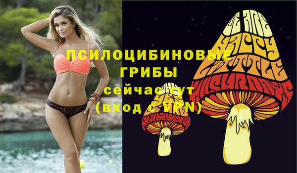 ПСИЛОЦИБИНОВЫЕ ГРИБЫ Балахна