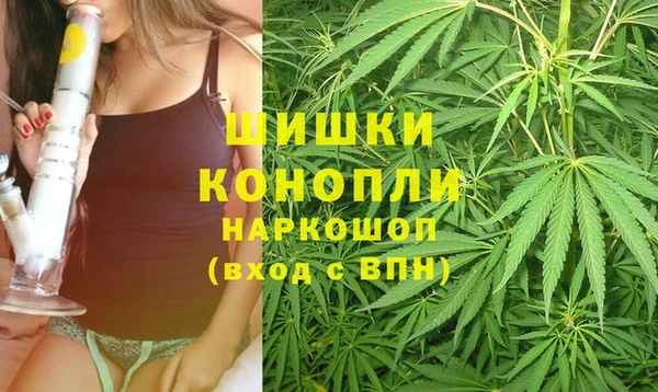 ПСИЛОЦИБИНОВЫЕ ГРИБЫ Балахна