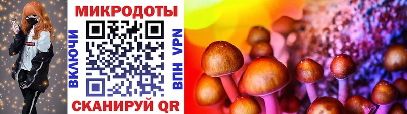 darknet какой сайт  Новоржев  Галлюциногенные грибы GOLDEN TEACHER 